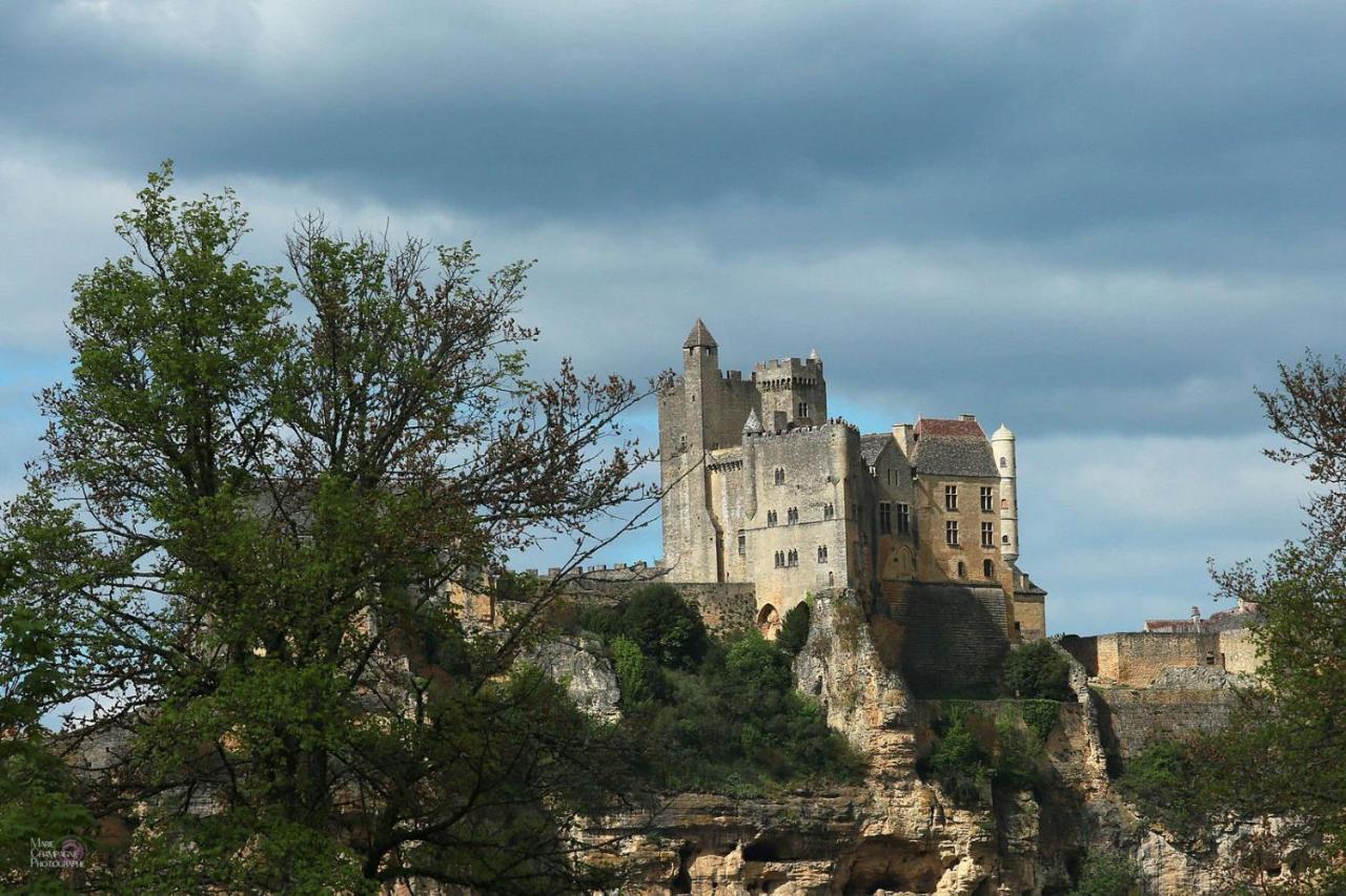 Au Coeur De Beynac, Une Maison De Caractere Avec Jardin Terrasse 외부 사진
