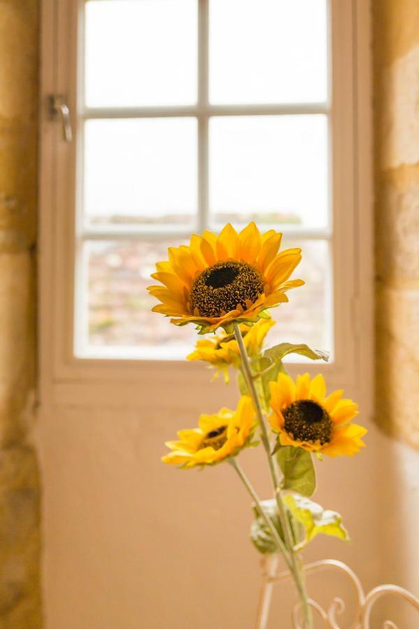 Au Coeur De Beynac, Une Maison De Caractere Avec Jardin Terrasse 외부 사진